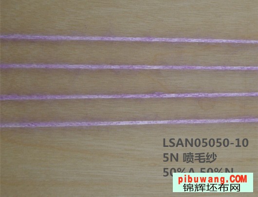 LSAN05050-10(1).