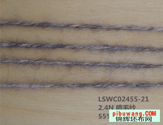 LSWC02455-21 (2)